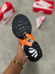 NIKE TN multicolor (MÁXIMA CALIDAD)